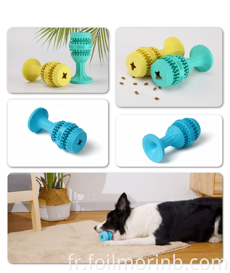 Clean Teeth Molar Dog Chew Toy